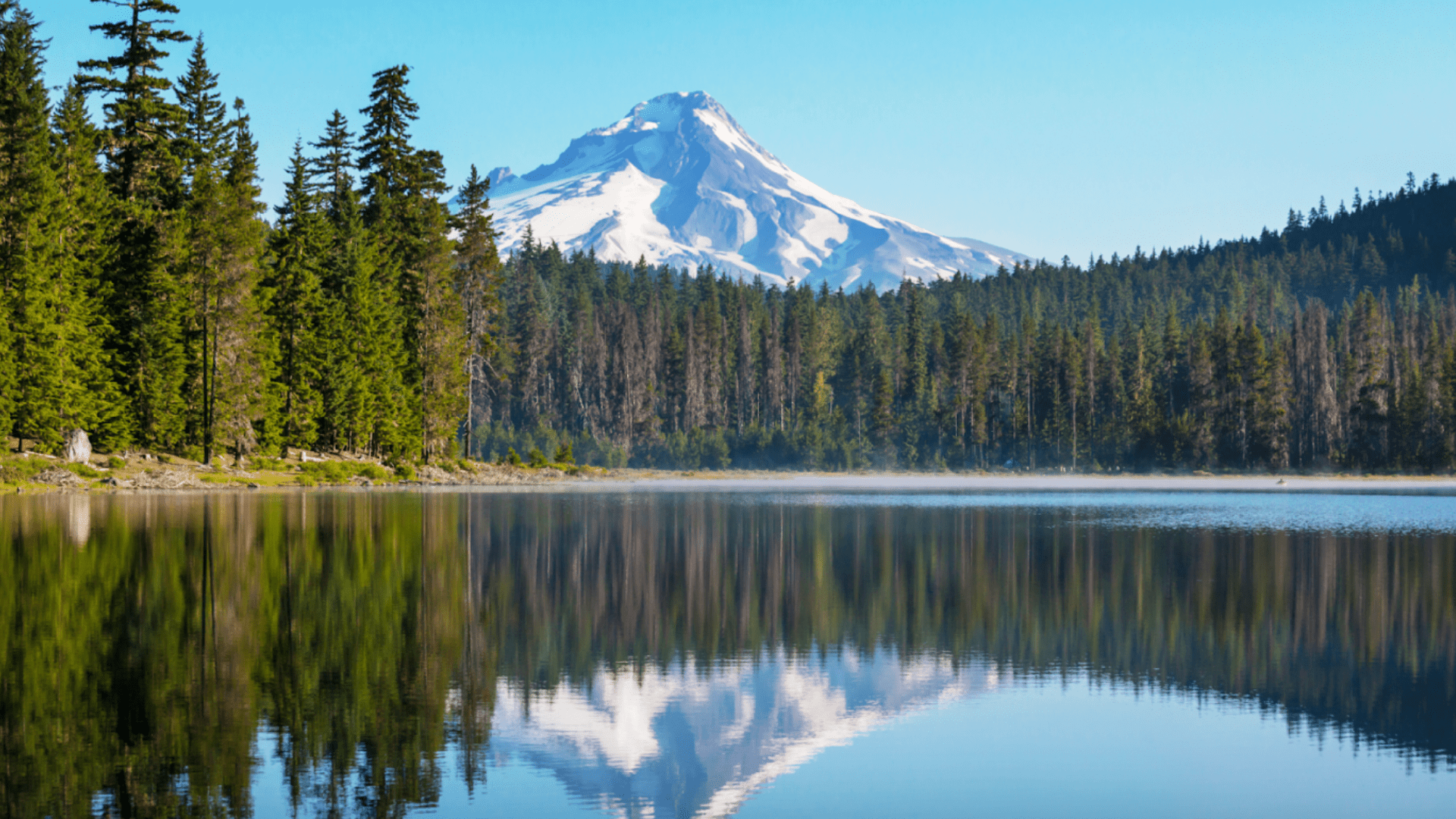 clackamas_county-min.png man in blue canoe near shoreline along beach