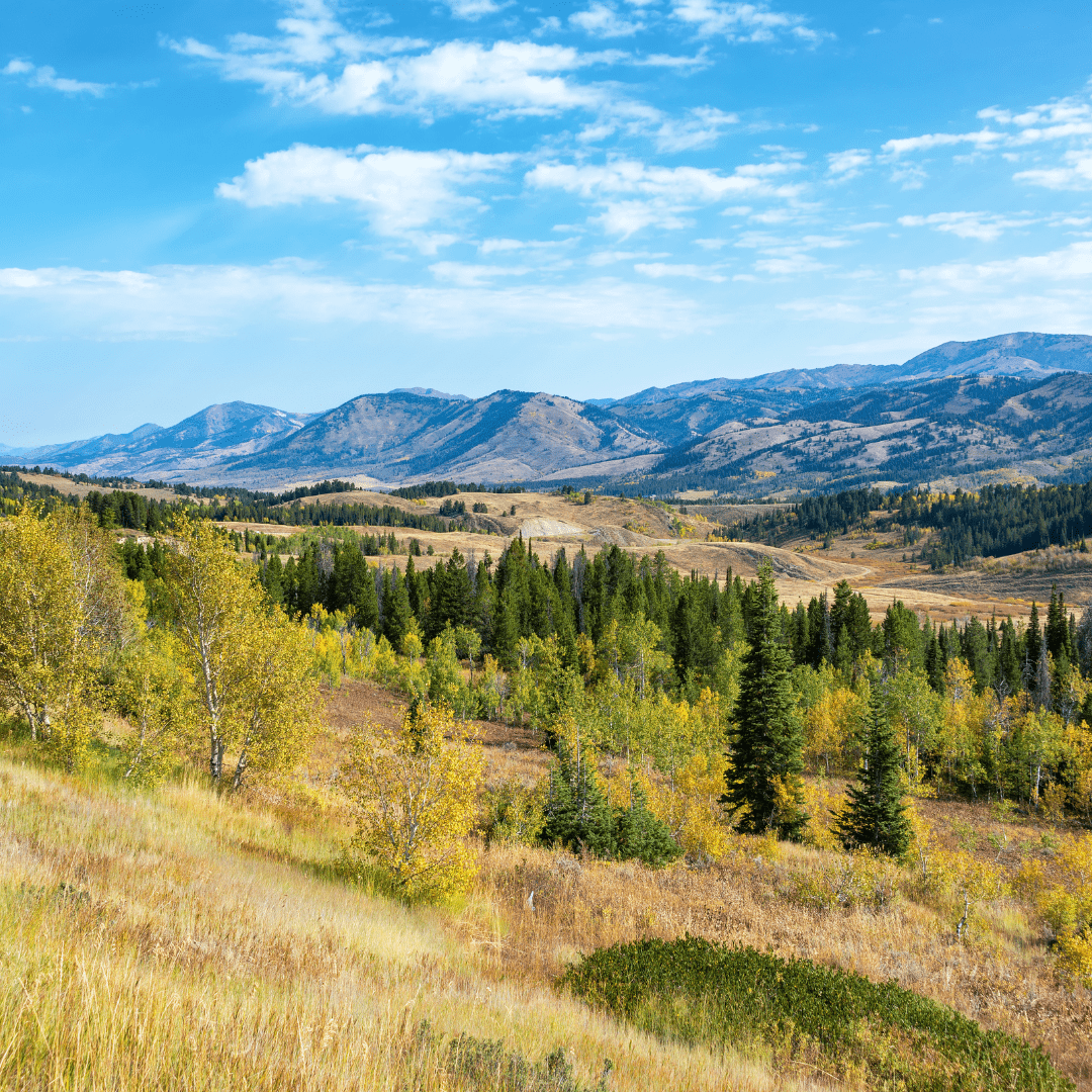 Wyoming mountains