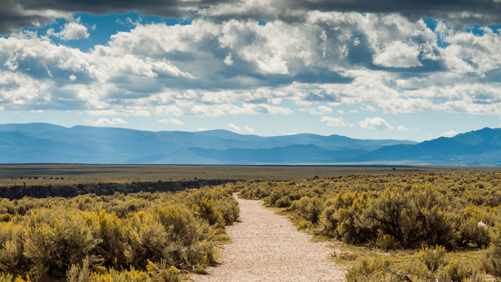 taos_nm-min.png wyoming grassland, trees, and mountains in the background
