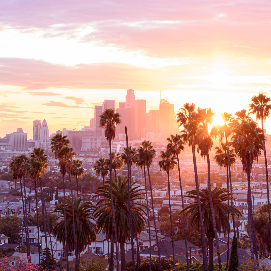 sunset view of los angeles skyline with palm trees in front