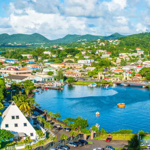 houses with green trees along inlet