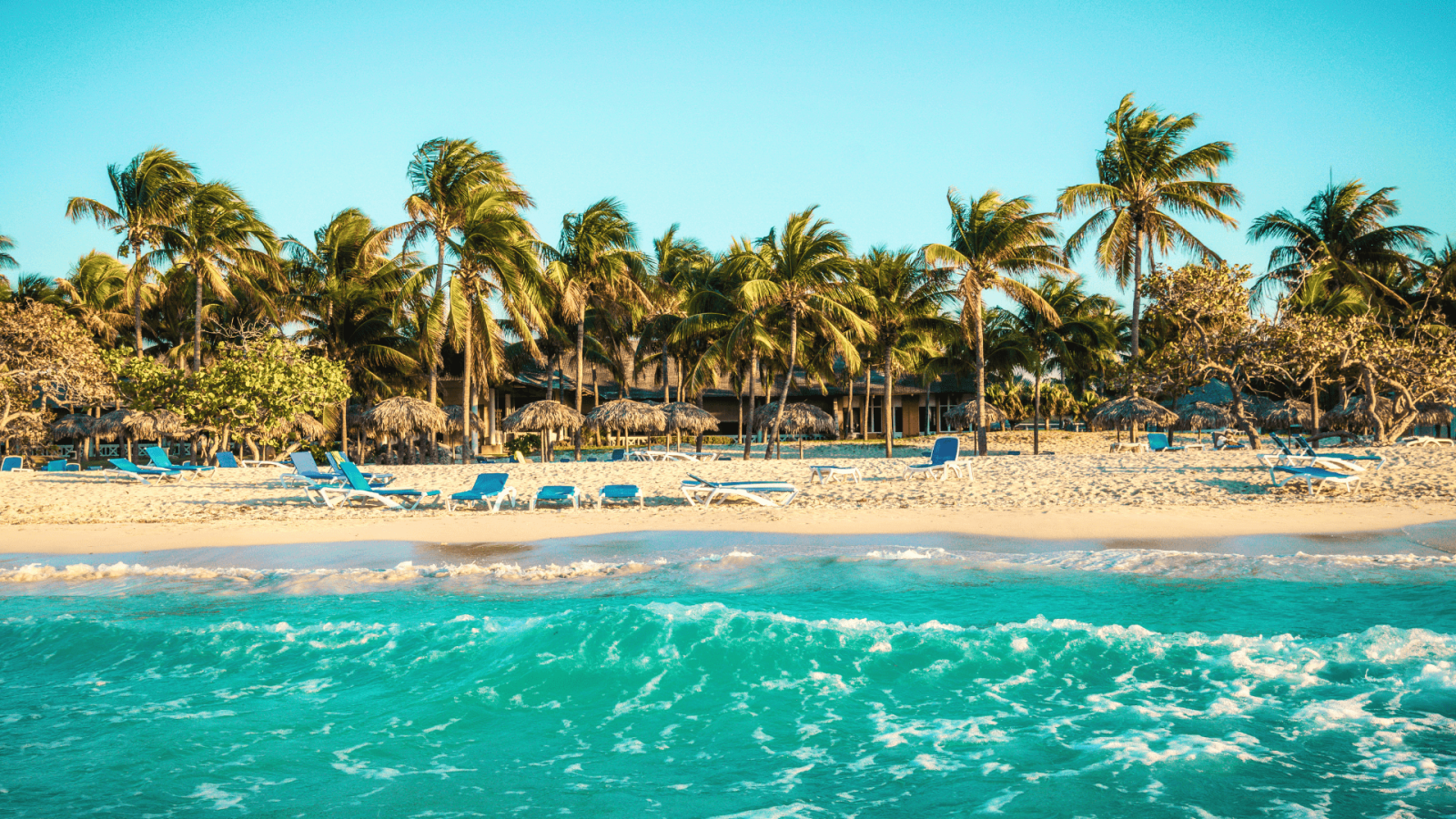 caribbean beach