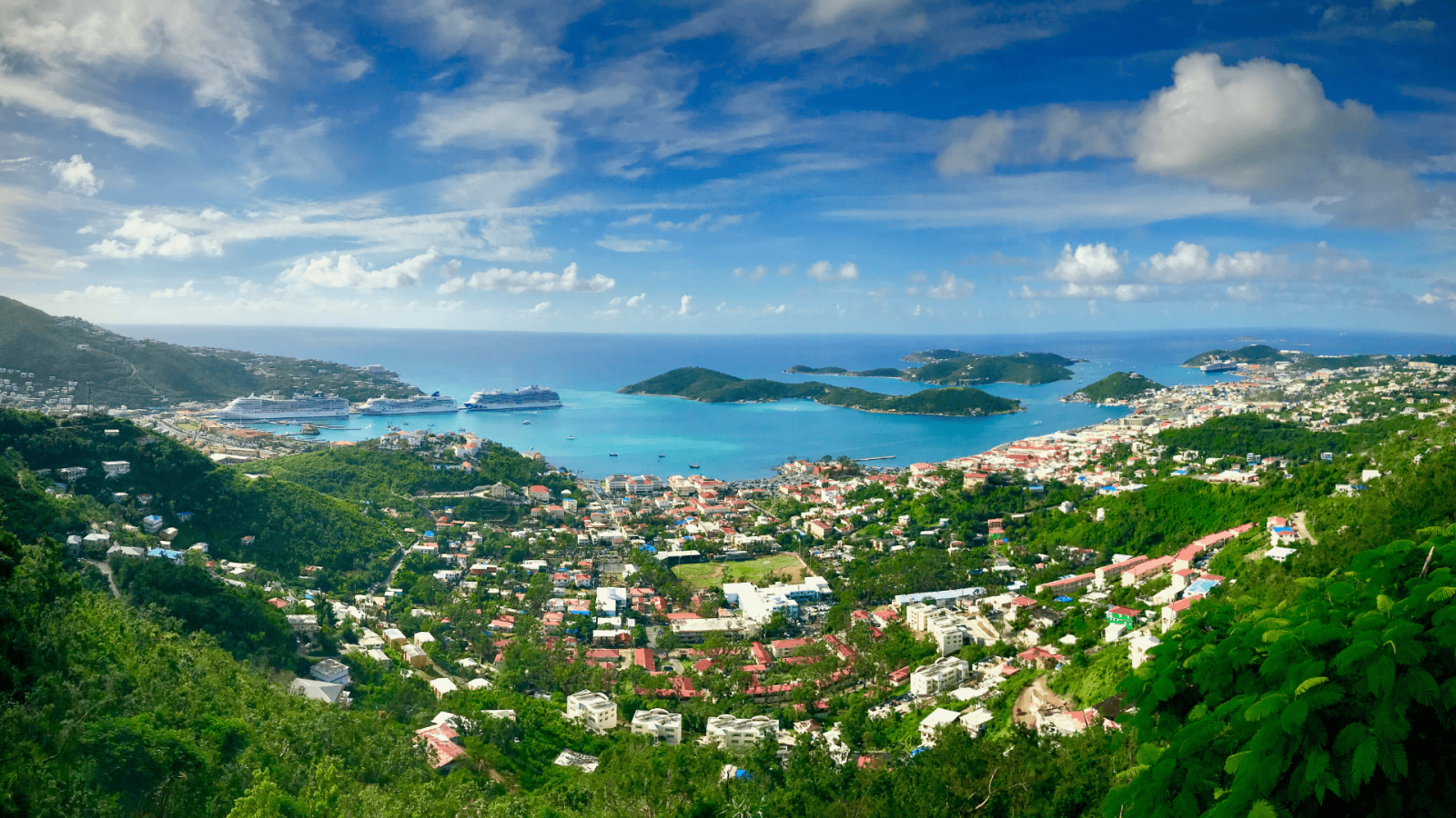 view of coastal community from top of mountains with houses and green trees by the sea