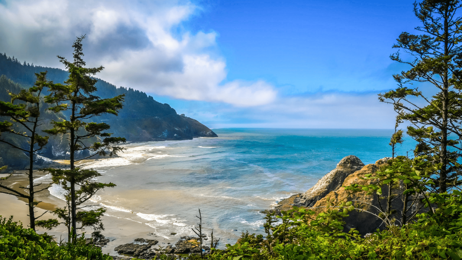 oregon coast through the trees